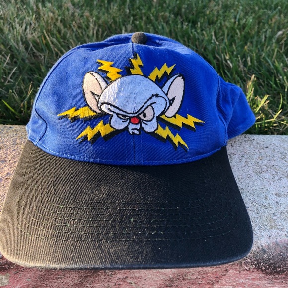 Vintage Pinky and the Brain Snapback Hat - Picture 1 of 4
